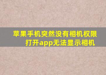 苹果手机突然没有相机权限 打开app无法显示相机